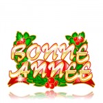 Bonne ann�e 2010